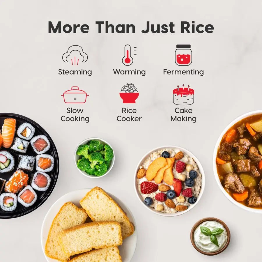 Micom Japanese Rice Cooker, 5Cup Uncooked 10Cup Cooked, Fuzzy Logic Kitchen Appliance with Recipe Presets, Slow Cooker, Steamer,