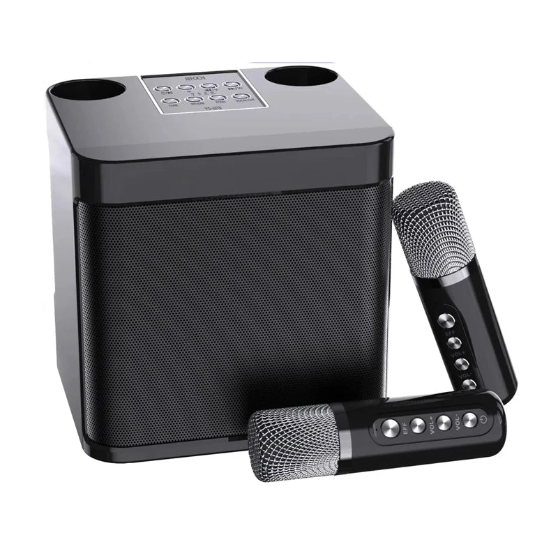 203 Portable Karaoke Bluetooth Speakers with Wireless Microphone Sound Effect Adjustment Large Capacity Battery Home Party Stree